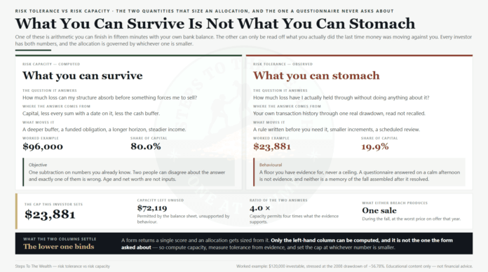 risk-tolerance-vs-risk-capacity-featured-survive-vs-stomach